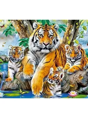 Castorland dėlionė Tigers by the Stream 120 det.