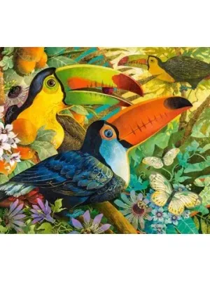 Castorland dėlionė INTERLUDE 3000 det.