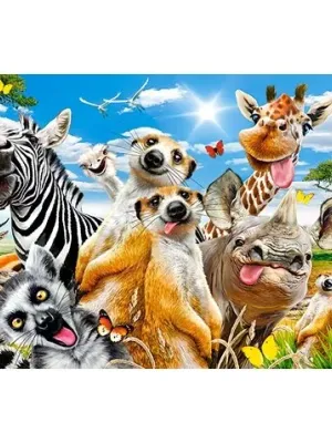 Castorland dėlionė AFRICAN SELFIEY 260 det.