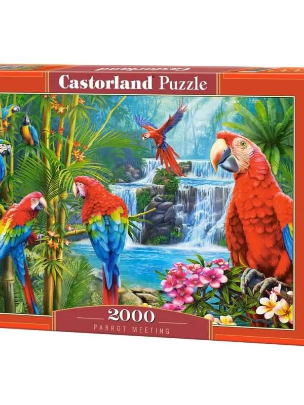 Produktas Castorland dėlionė Parrot Meeting 2000 det. Paveikslėlis