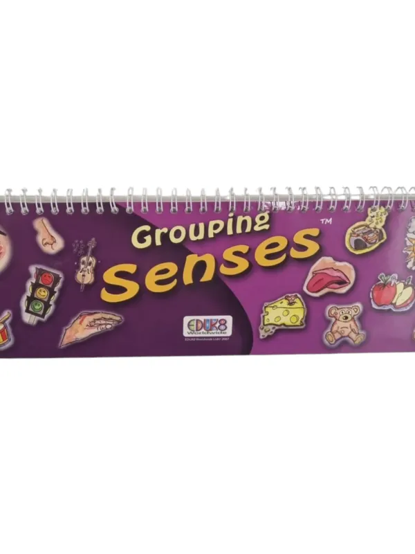 Produktas Lavinamoji knygutė Grouping Seasans/Senses Paveikslėlis