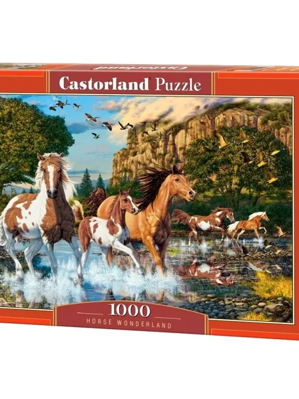 Produktas Castorland dėlionė Horse Wonderland 1000 det Paveikslėlis