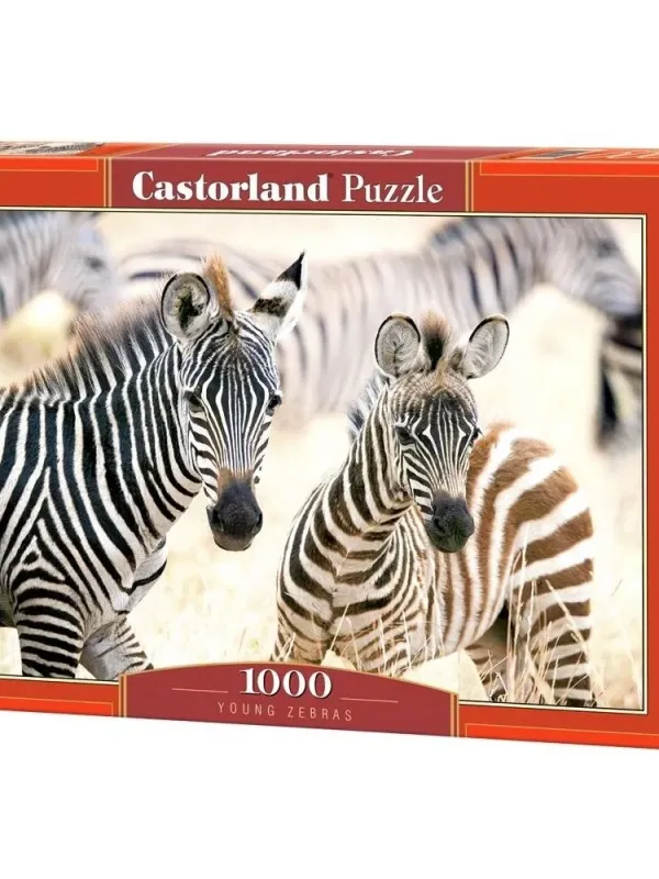 Produktas Castorland dėlionė Young Zebras 1000 det Paveikslėlis