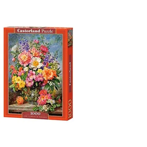 Produktas Castorland dėllionė June Flowers in Radiance  1000 det. Paveikslėlis