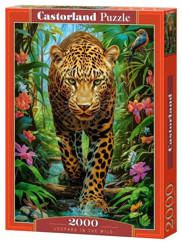 Produktas Castorland dėlionė Leopard in the Wild 2000 det. Paveikslėlis