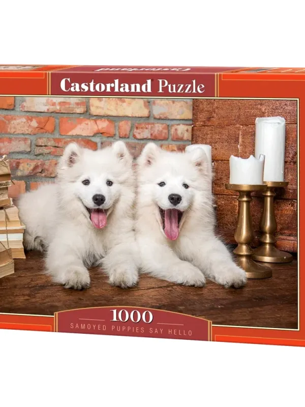 Produktas Castorland dėlionė Samoyed Puppies Say Hello 1000 det. Paveikslėlis
